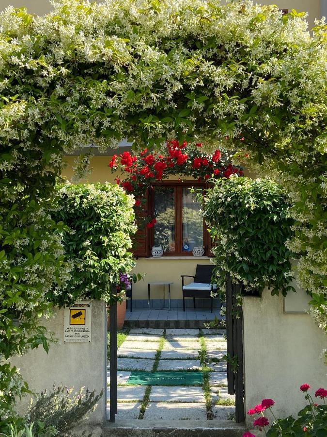 Villa Dei Cedri Скалеа Екстер'єр фото